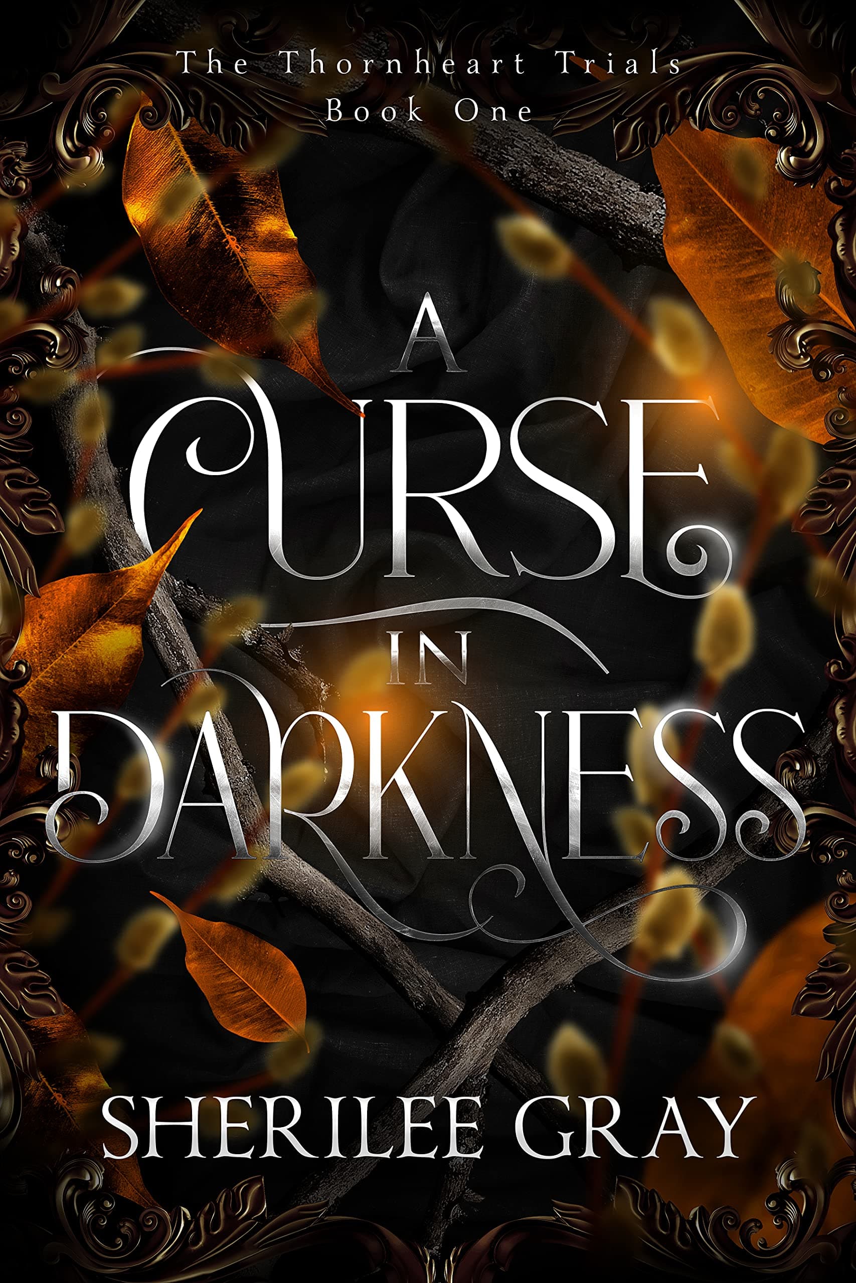 Cover of A Curse in Darkness