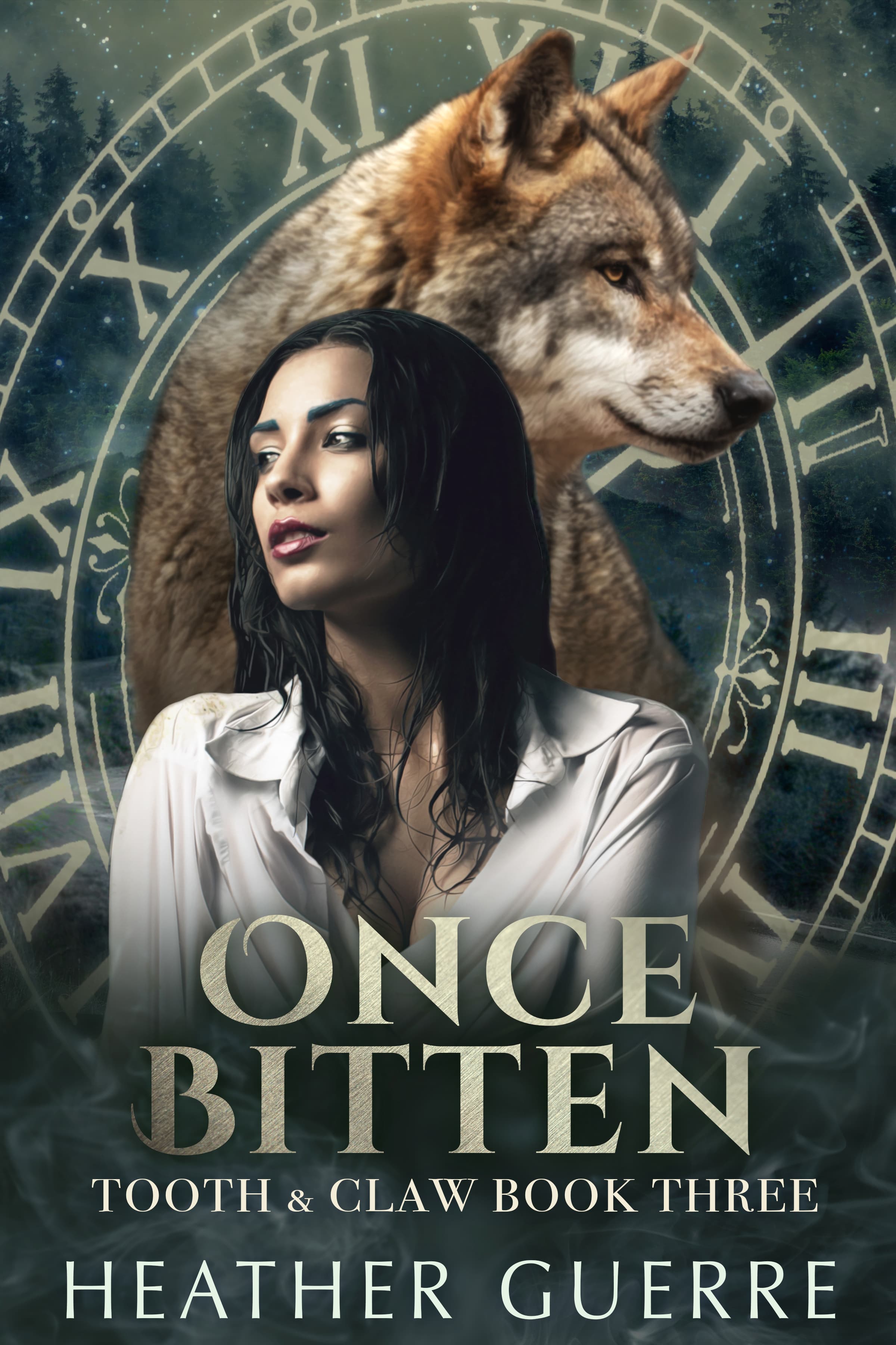 Cover of Once Bitten