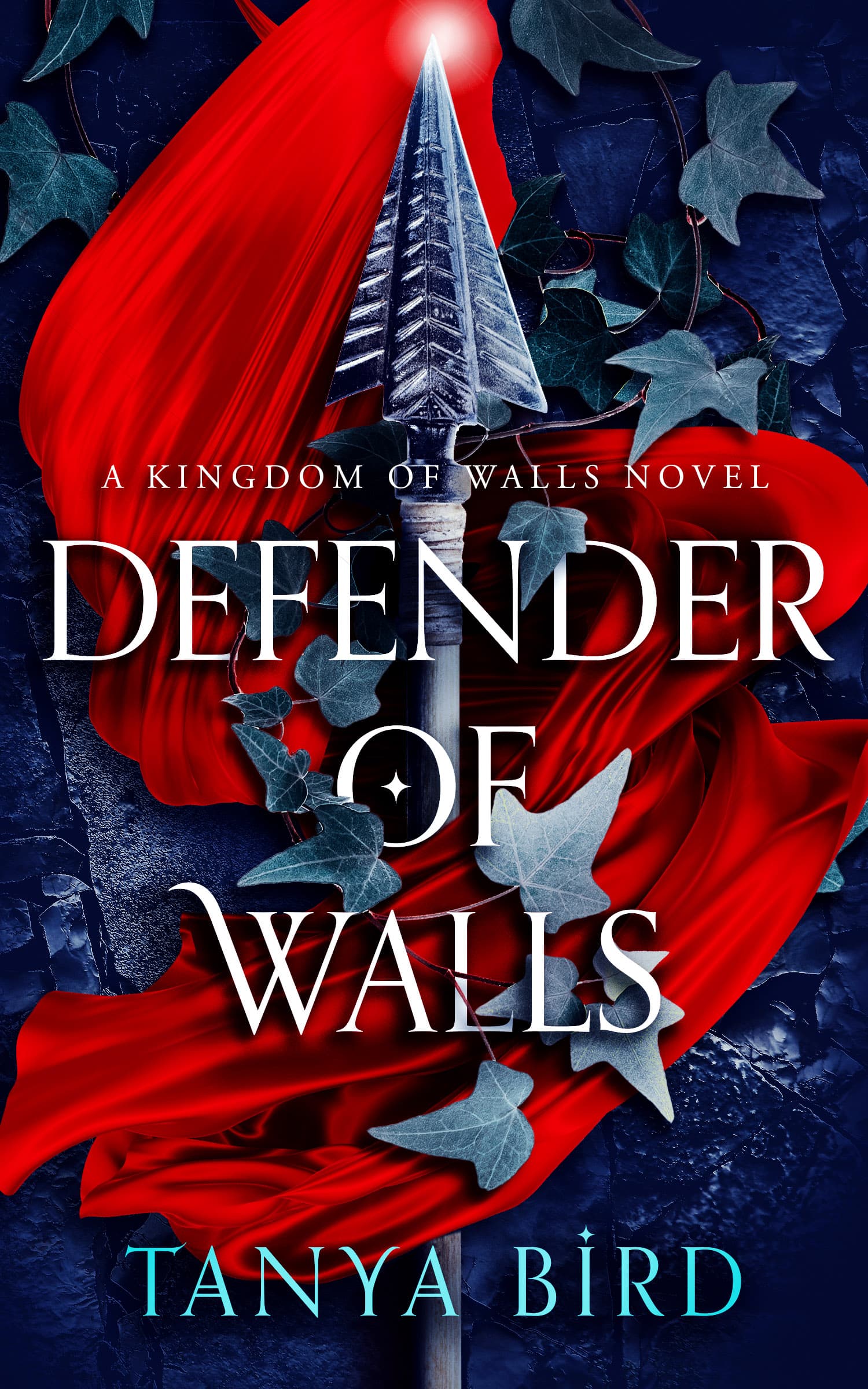 Cover of Defender of Walls