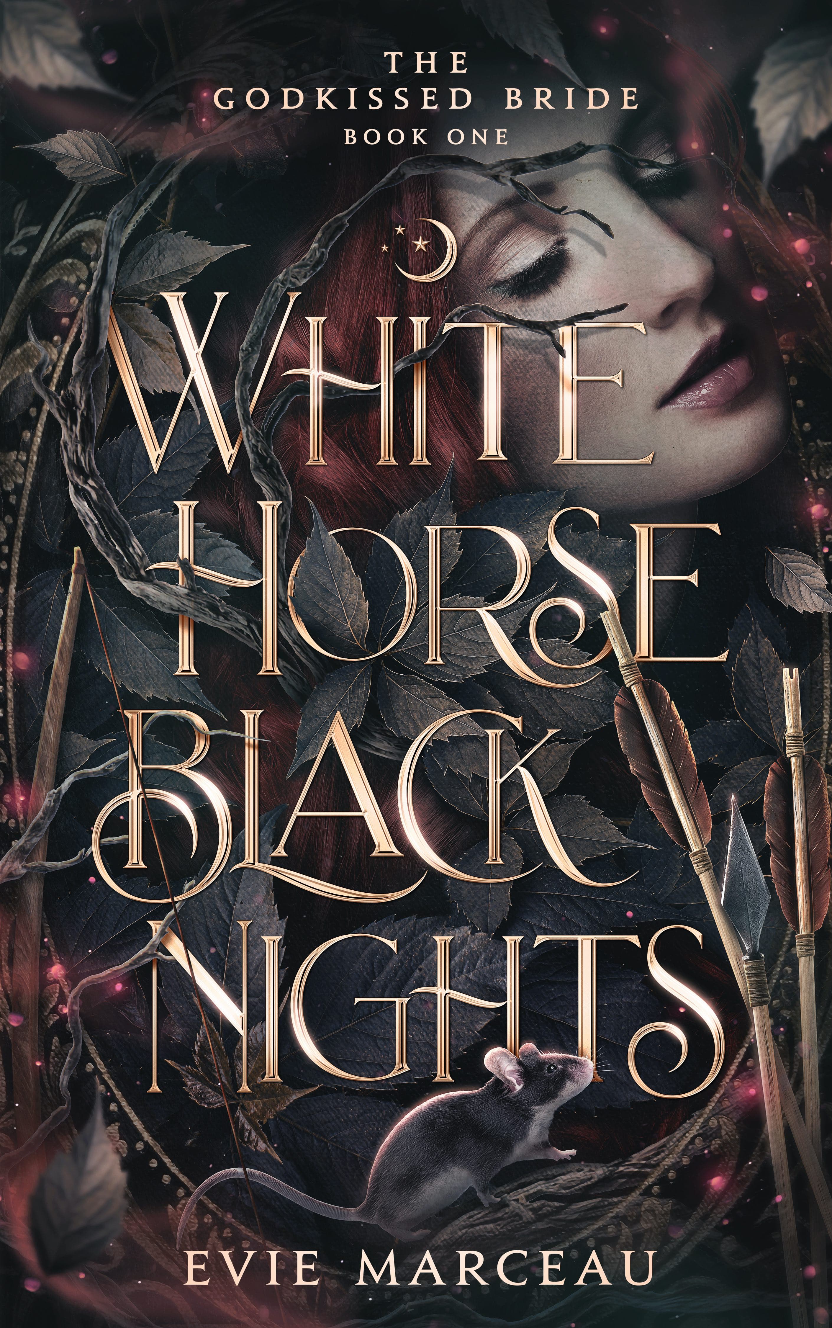 Cover of White Horse Black Nights