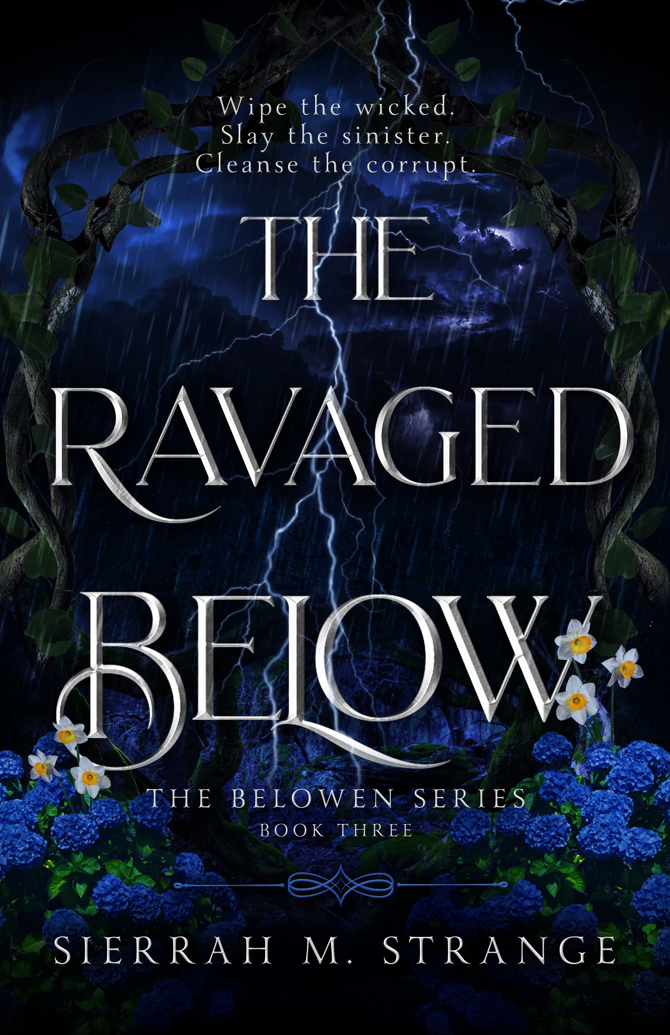 Cover of The Ravaged Below