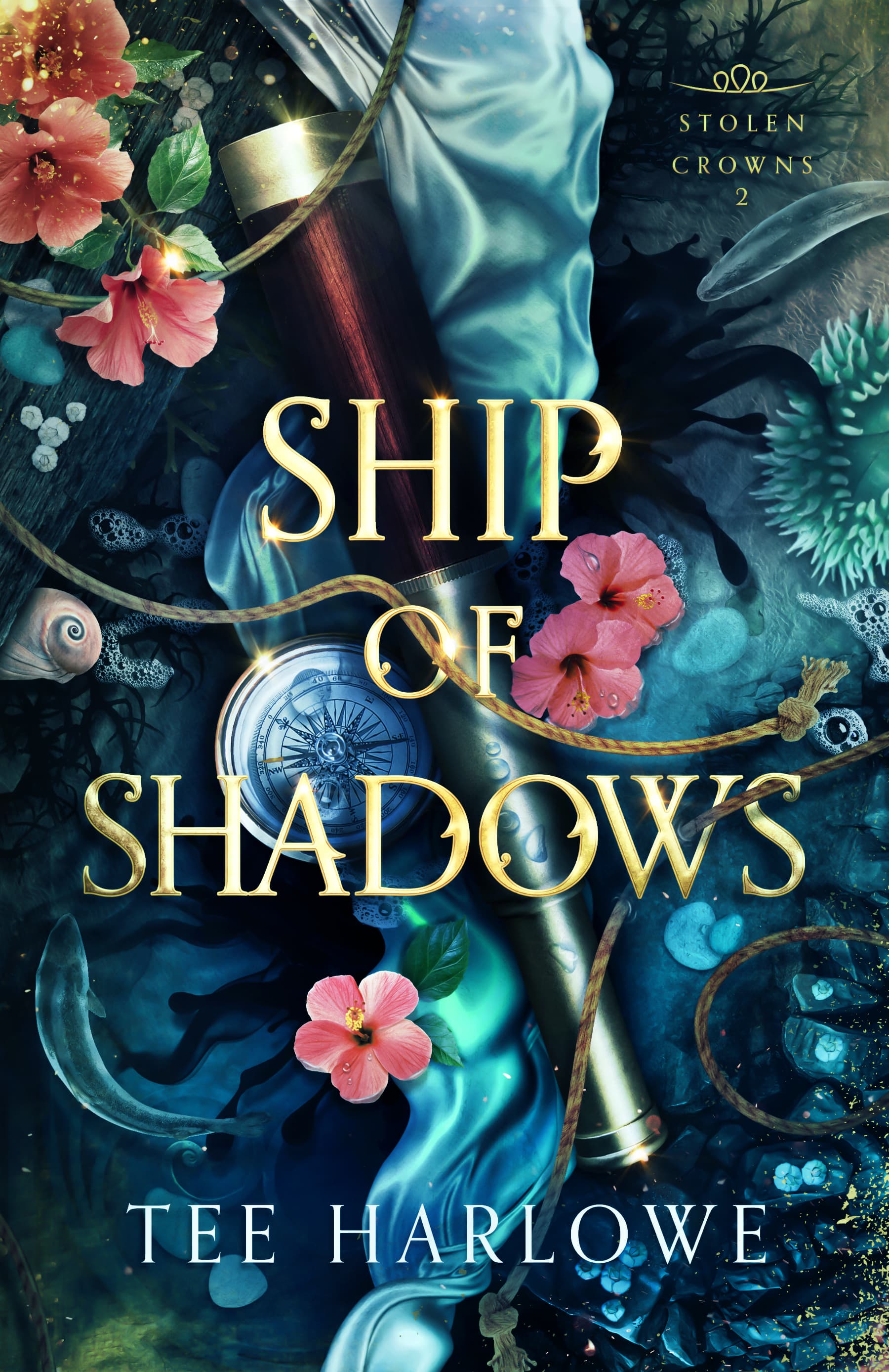 Cover of Ship of Shadows