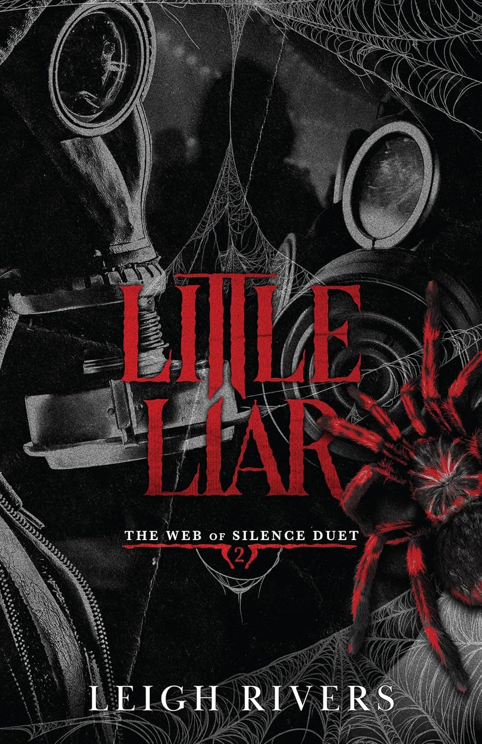 Cover of Little Liar (The Web of Silence Duet, #2)