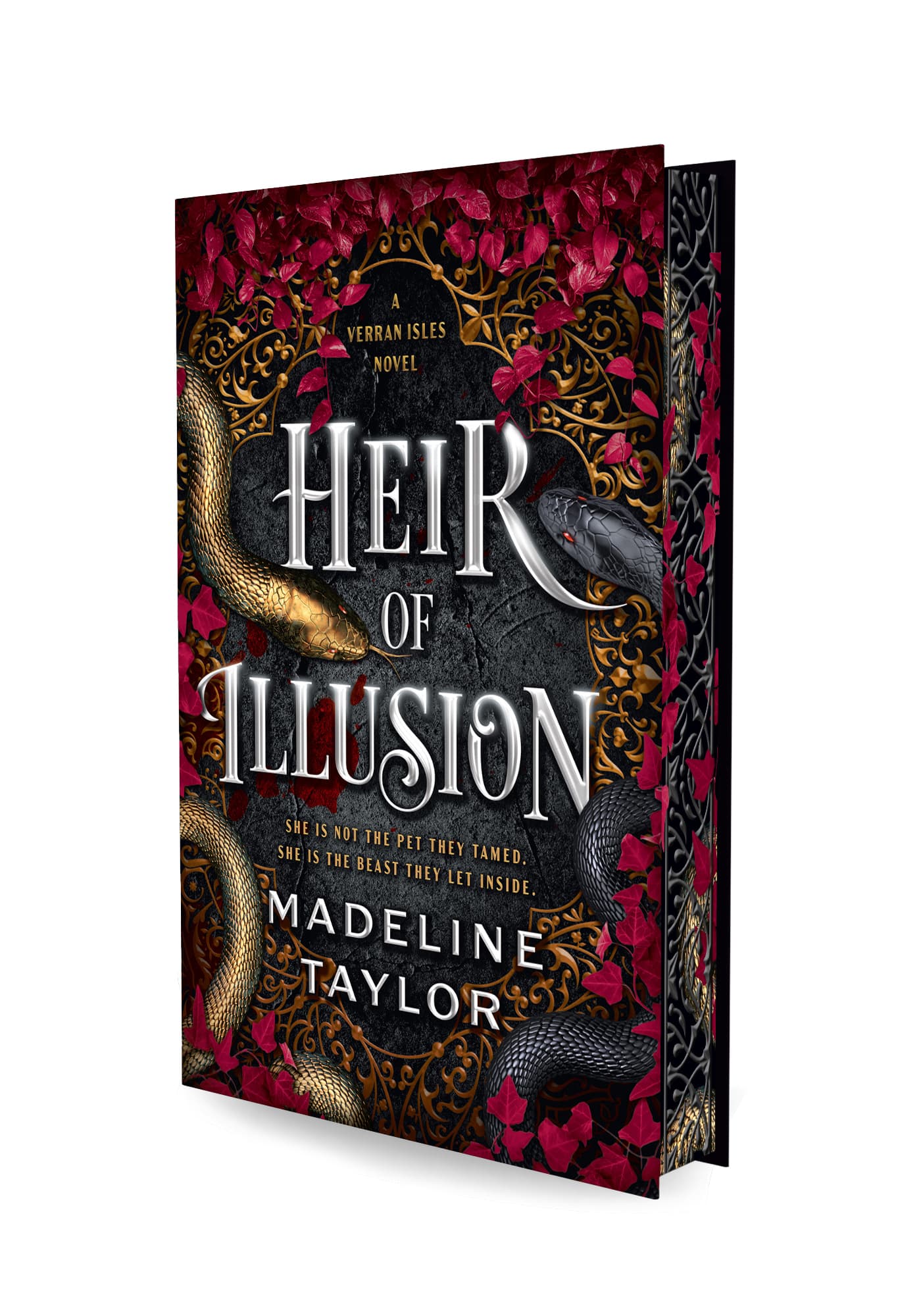 Cover of Heir of Illusion