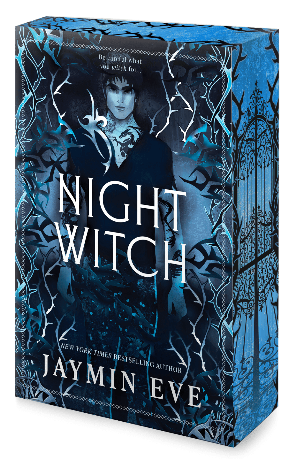 Cover of Night Witch