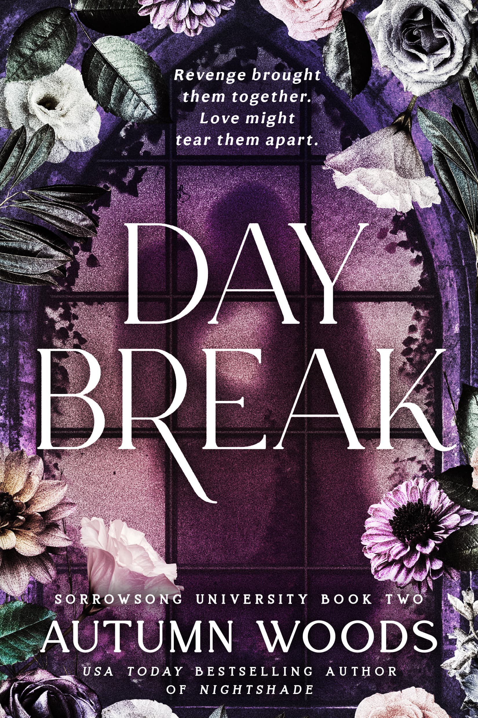 Cover of Daybreak