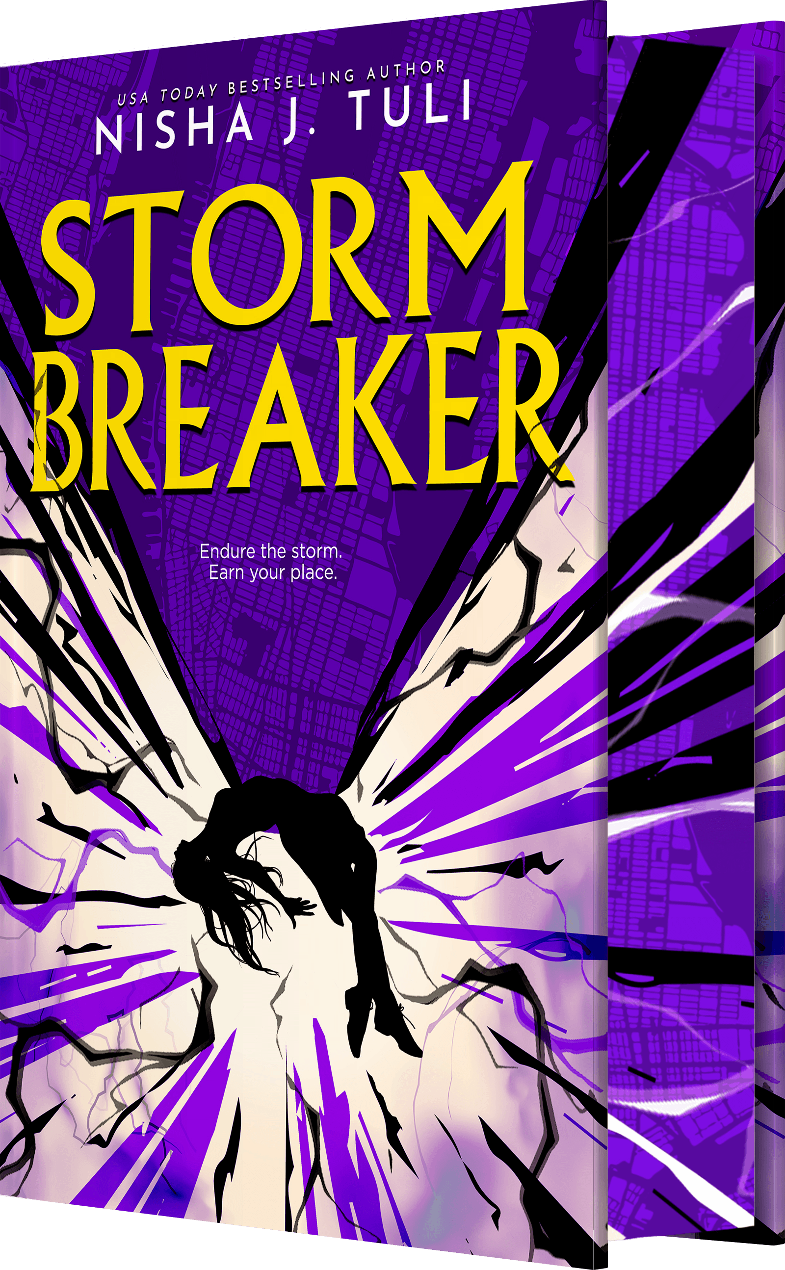 Cover of Storm Breaker
