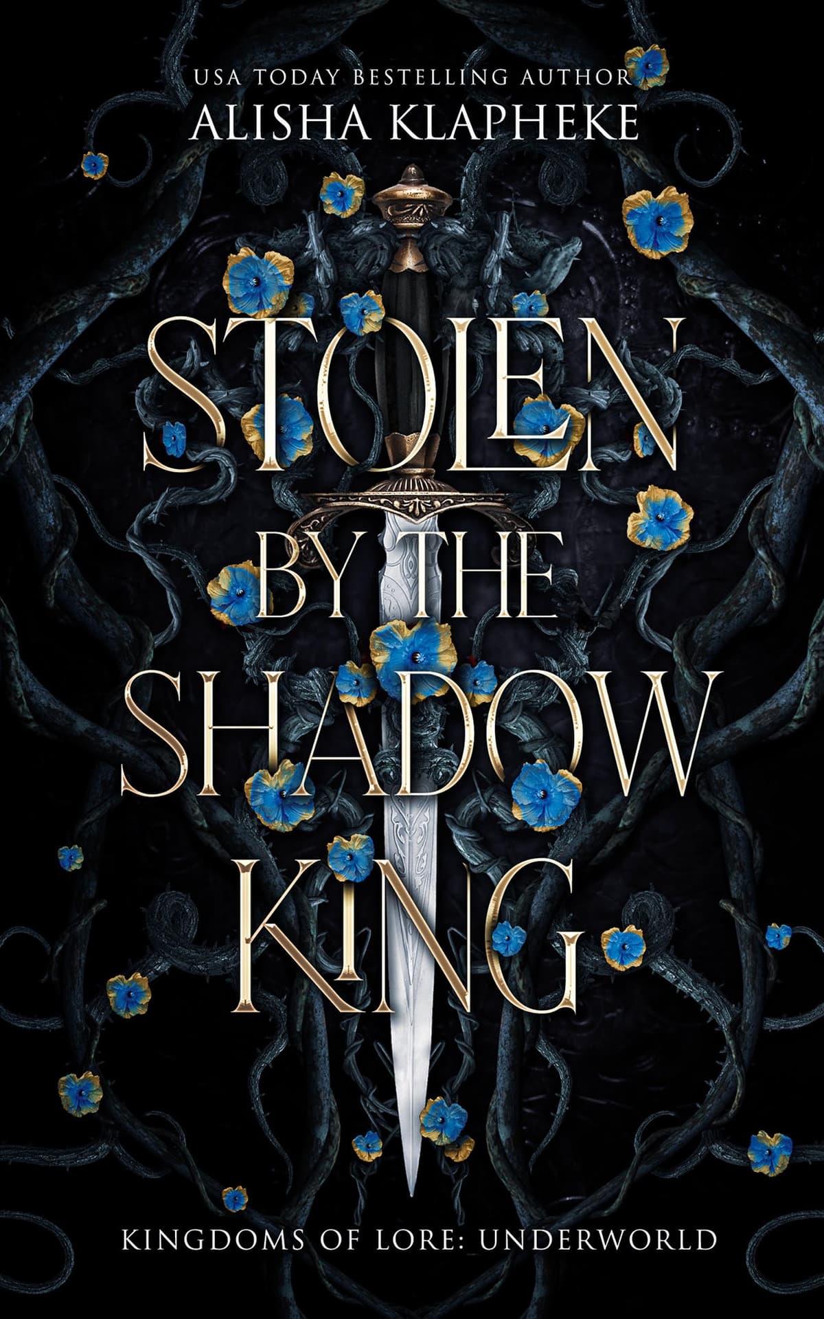 Cover of Stolen by the Shadow King