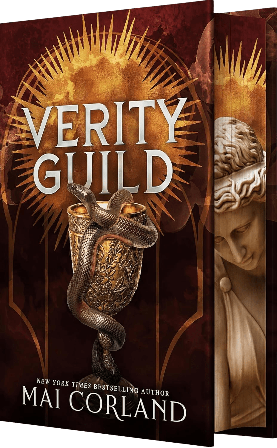 Cover of Verity Guild