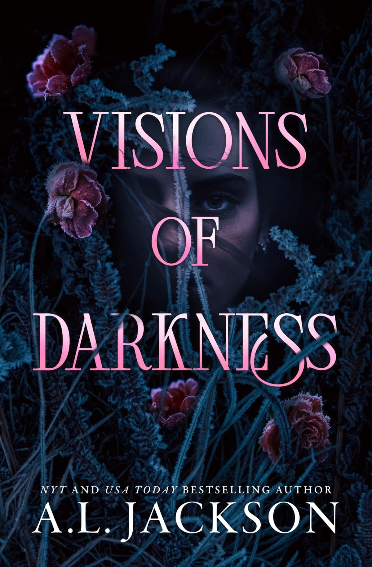 Cover of Visions of Darkness