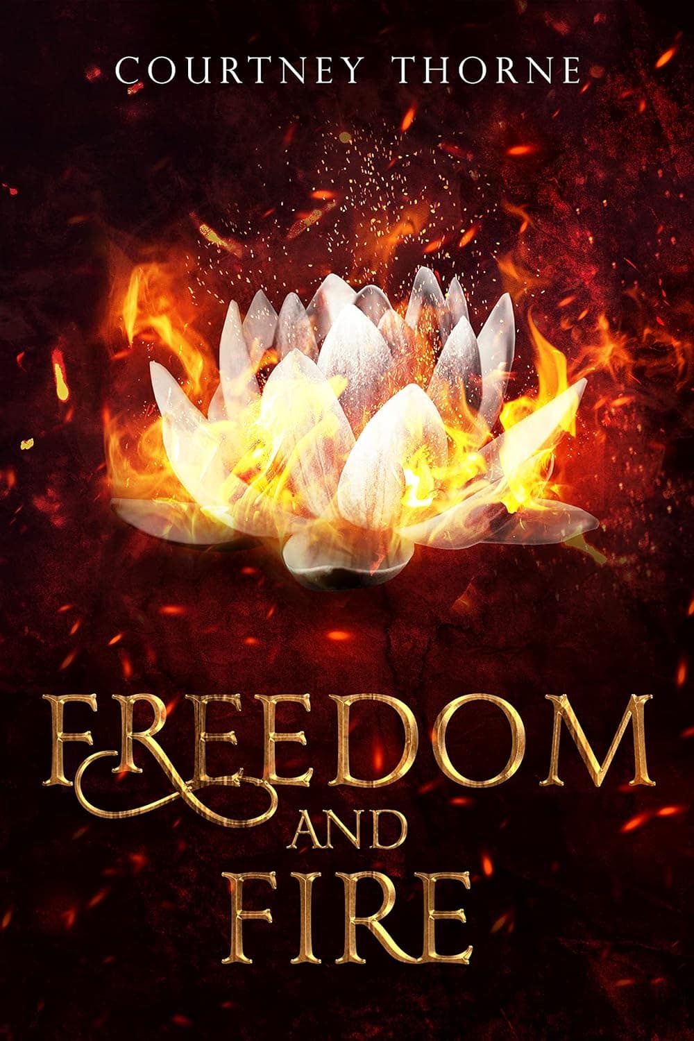 Cover of Freedom and Fire