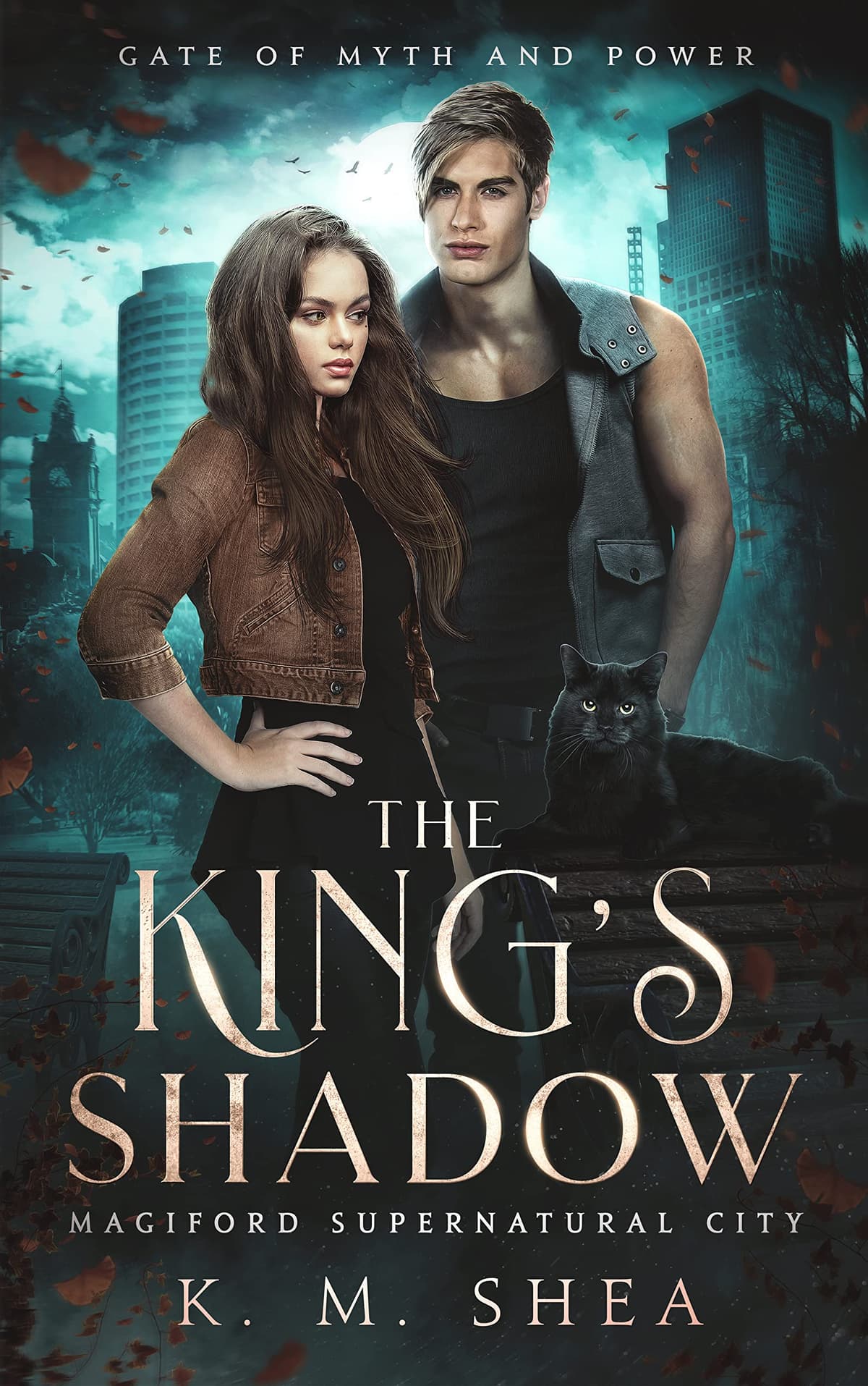 Cover of King's Shadow