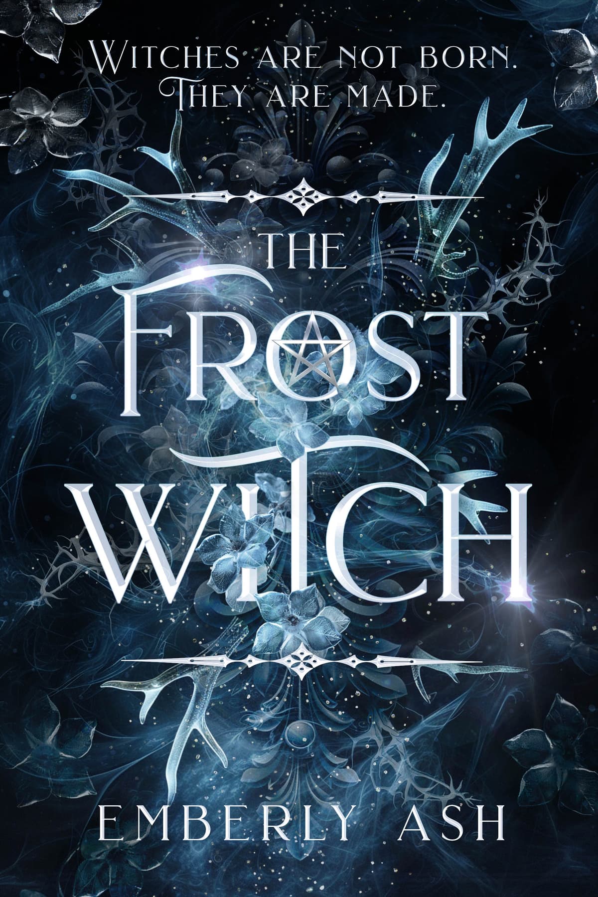 Cover of The Frost Witch