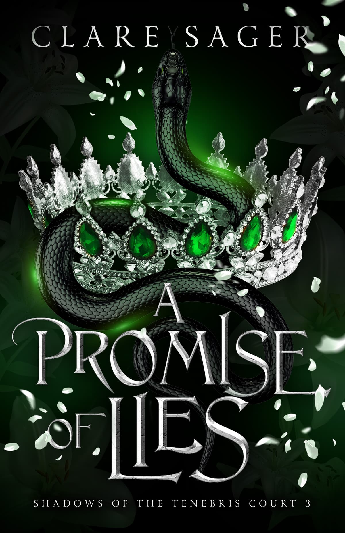 Cover of A Promise of Lies