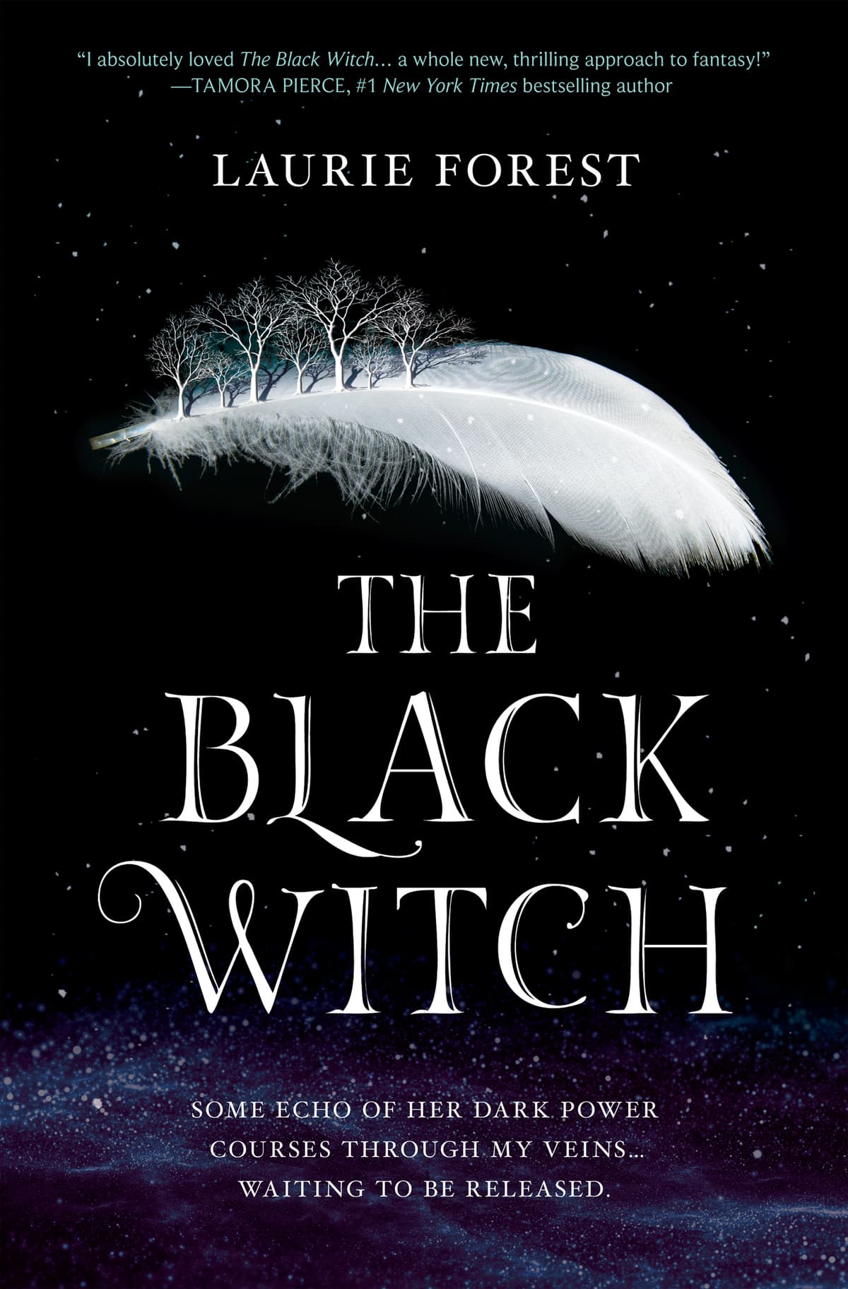 Cover of The Black Witch