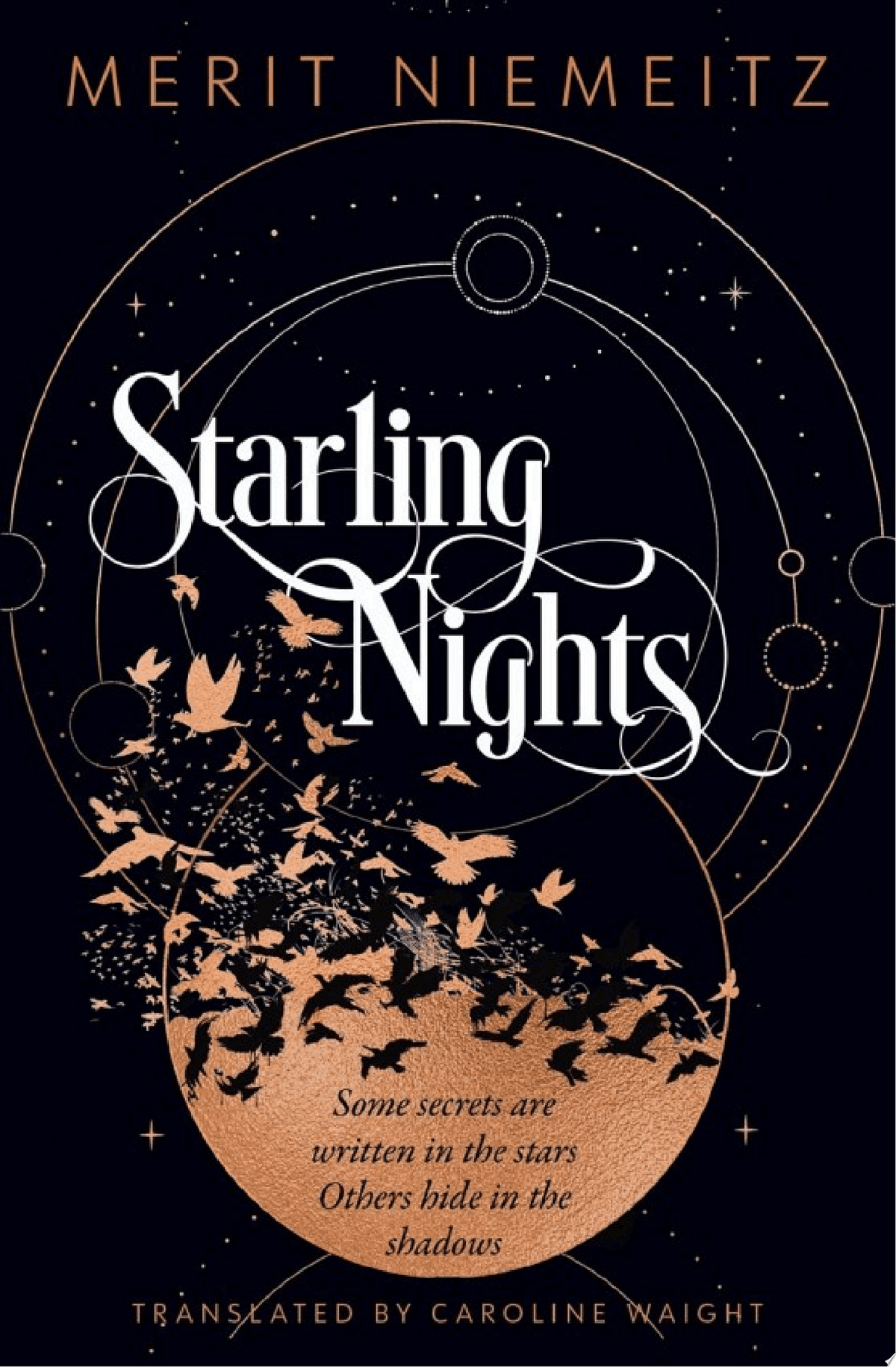 Cover of Starling Nights
