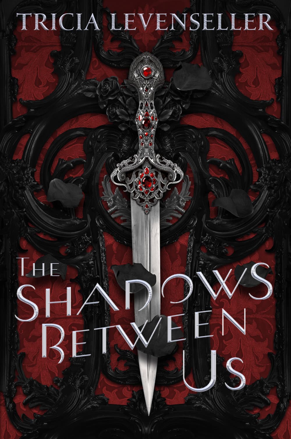 Cover of The Shadows Between Us