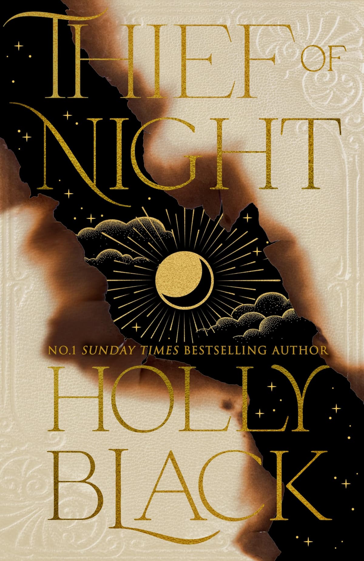 Cover of Thief of Night