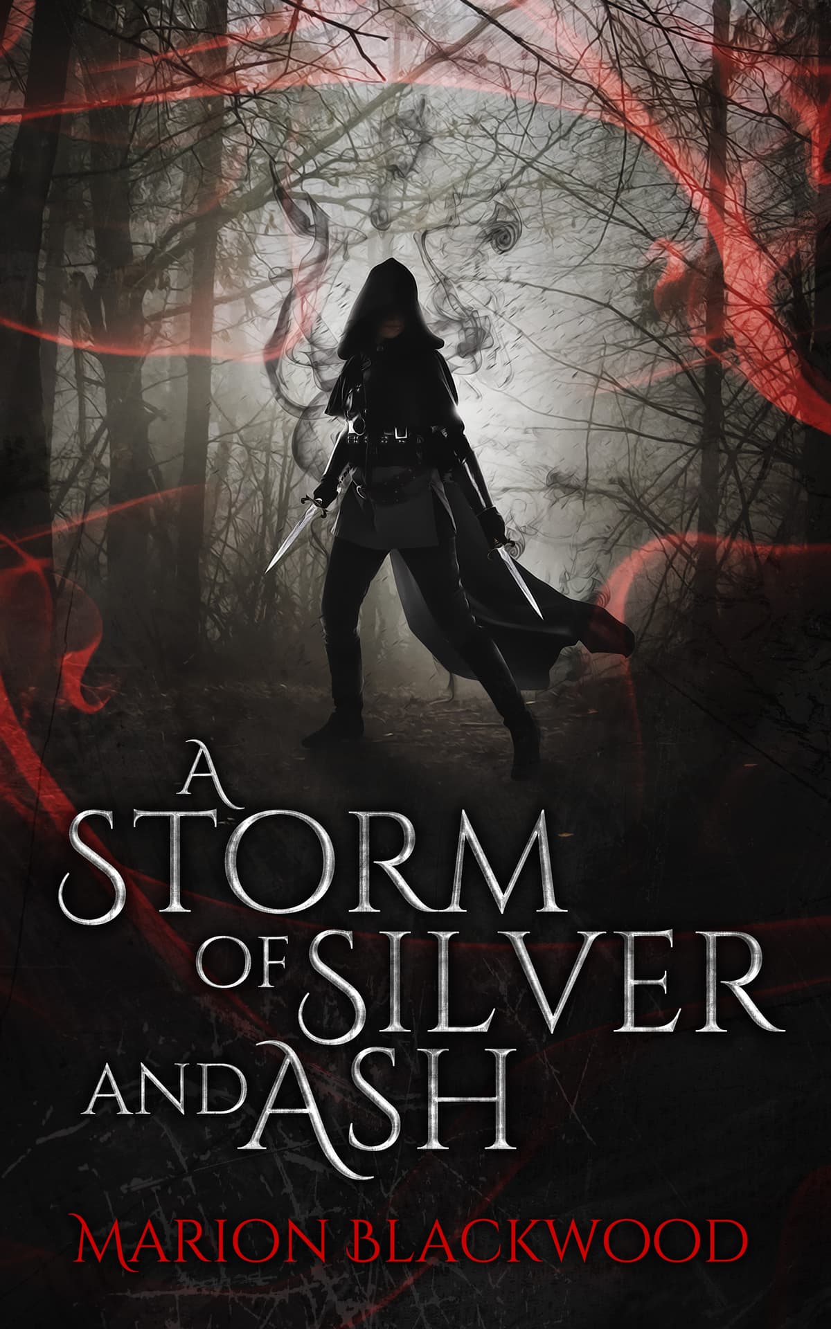 Cover of A Storm of Silver and Ash