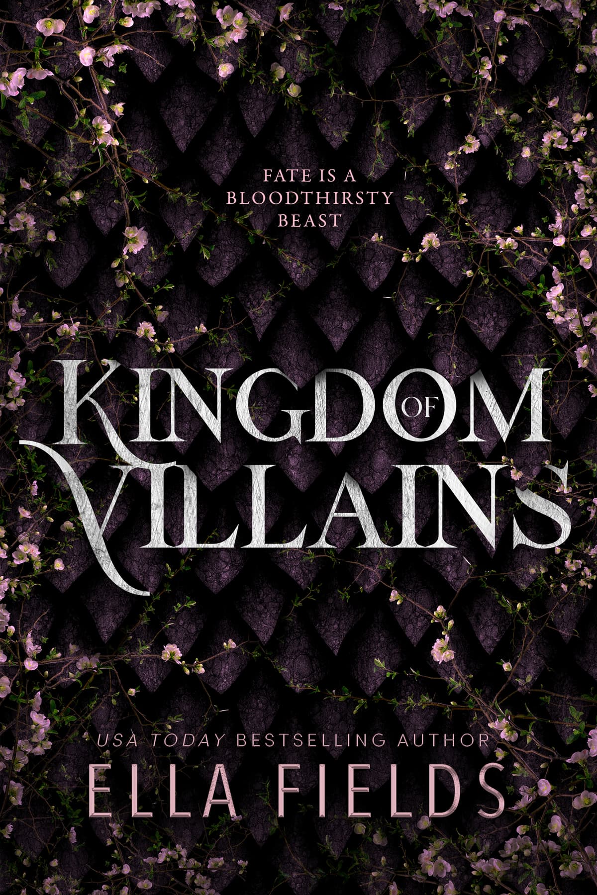 Cover of Kingdom of Villains