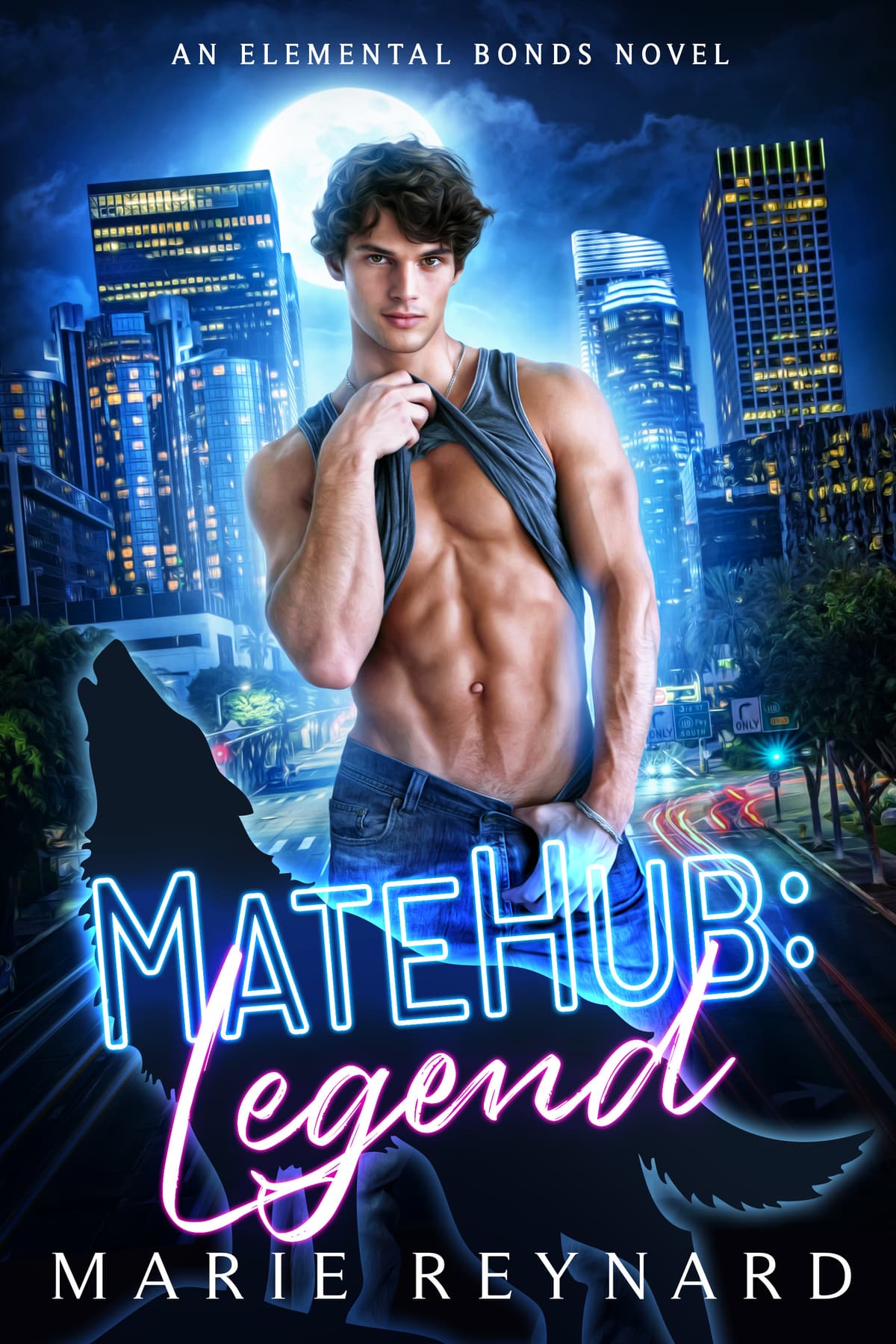 Cover of MateHub: Legend