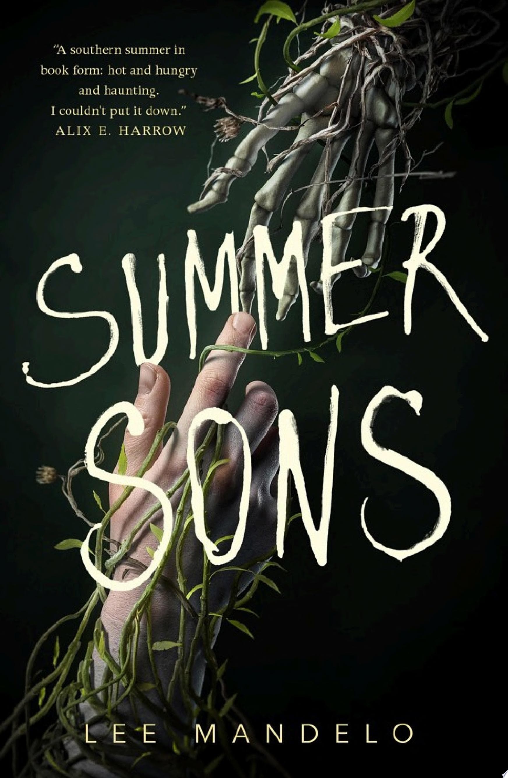 Cover of Summer Sons