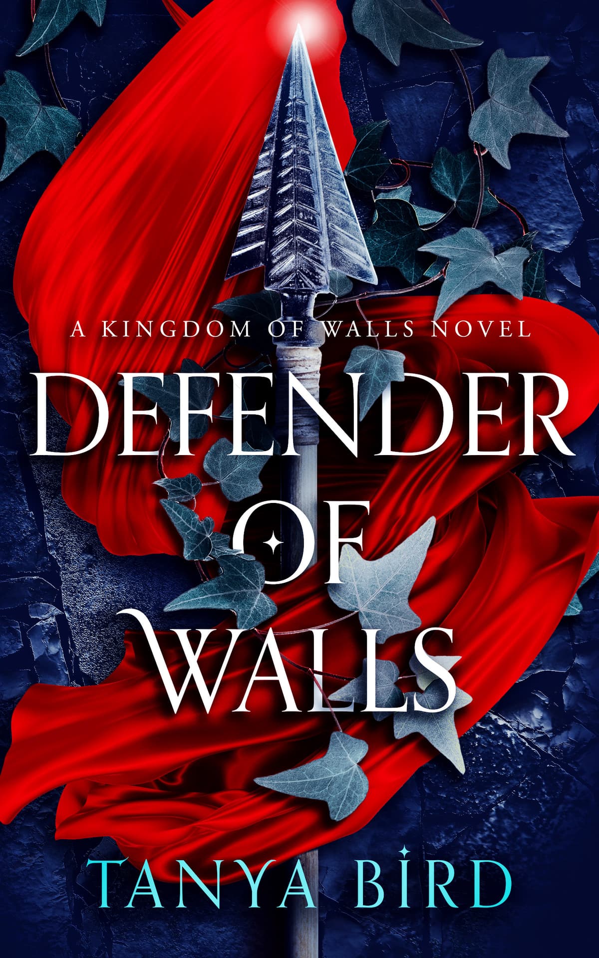 Cover of Defender of Walls