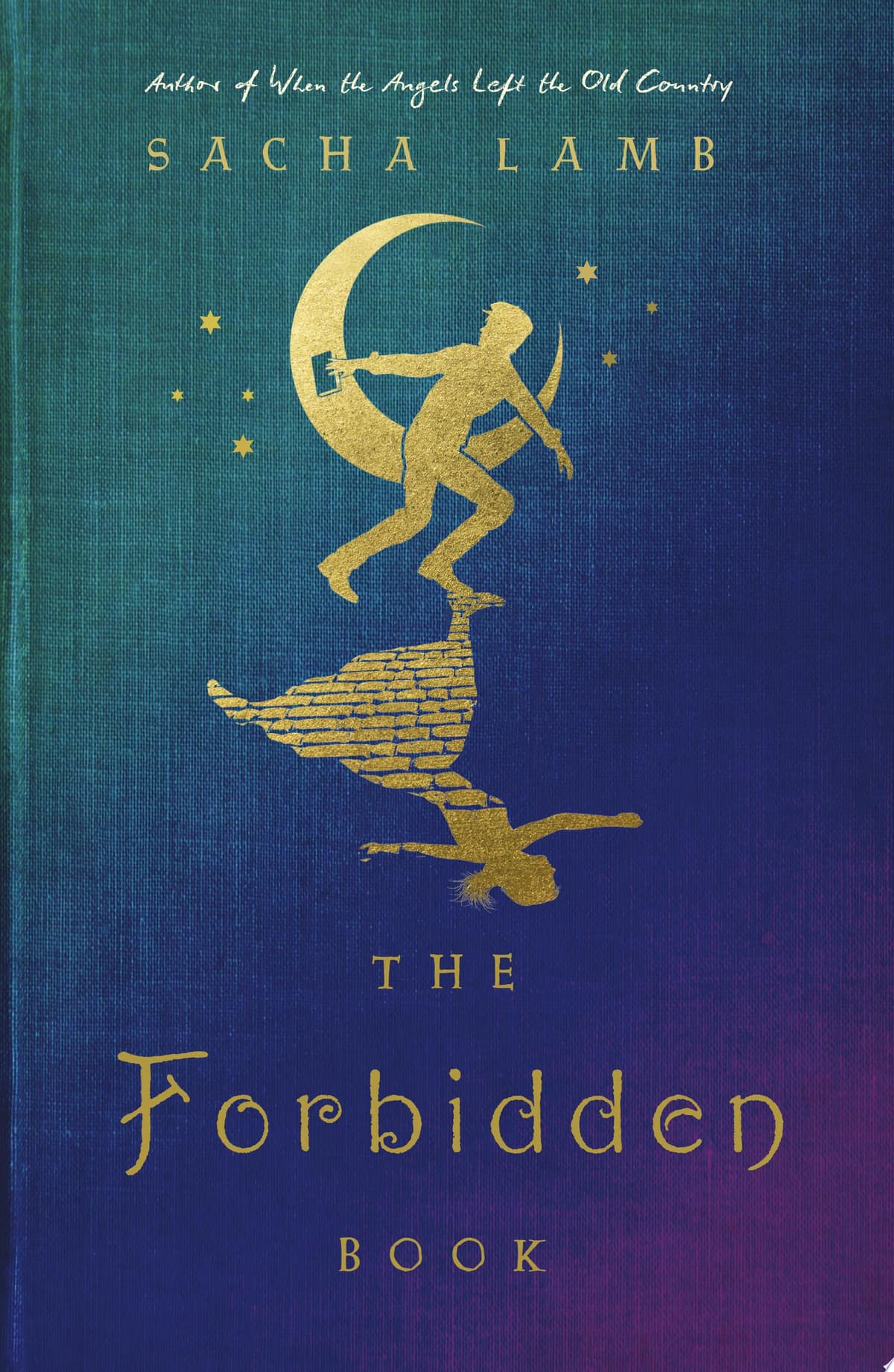 Cover of The Forbidden Book