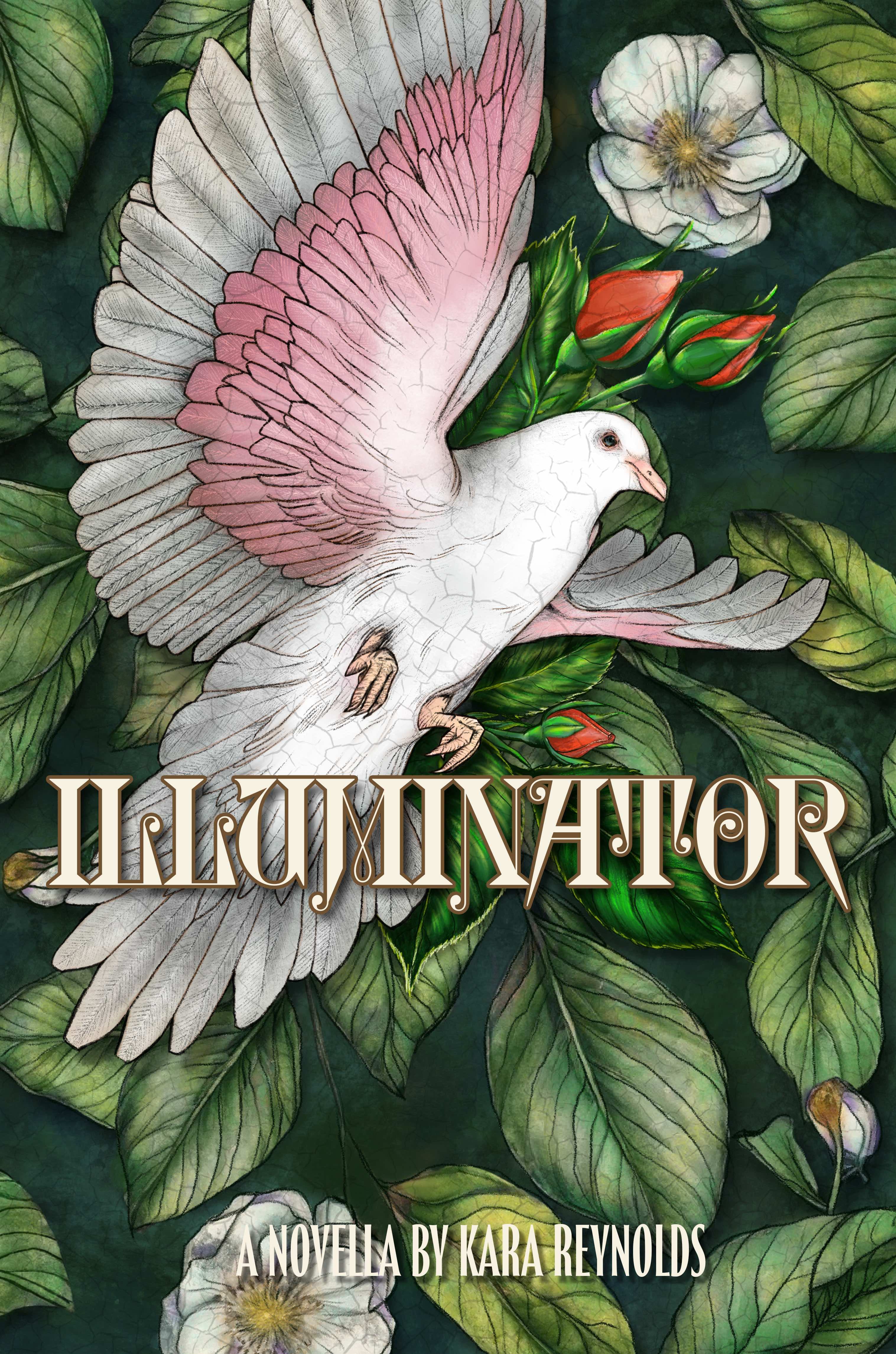 Cover of Illuminator