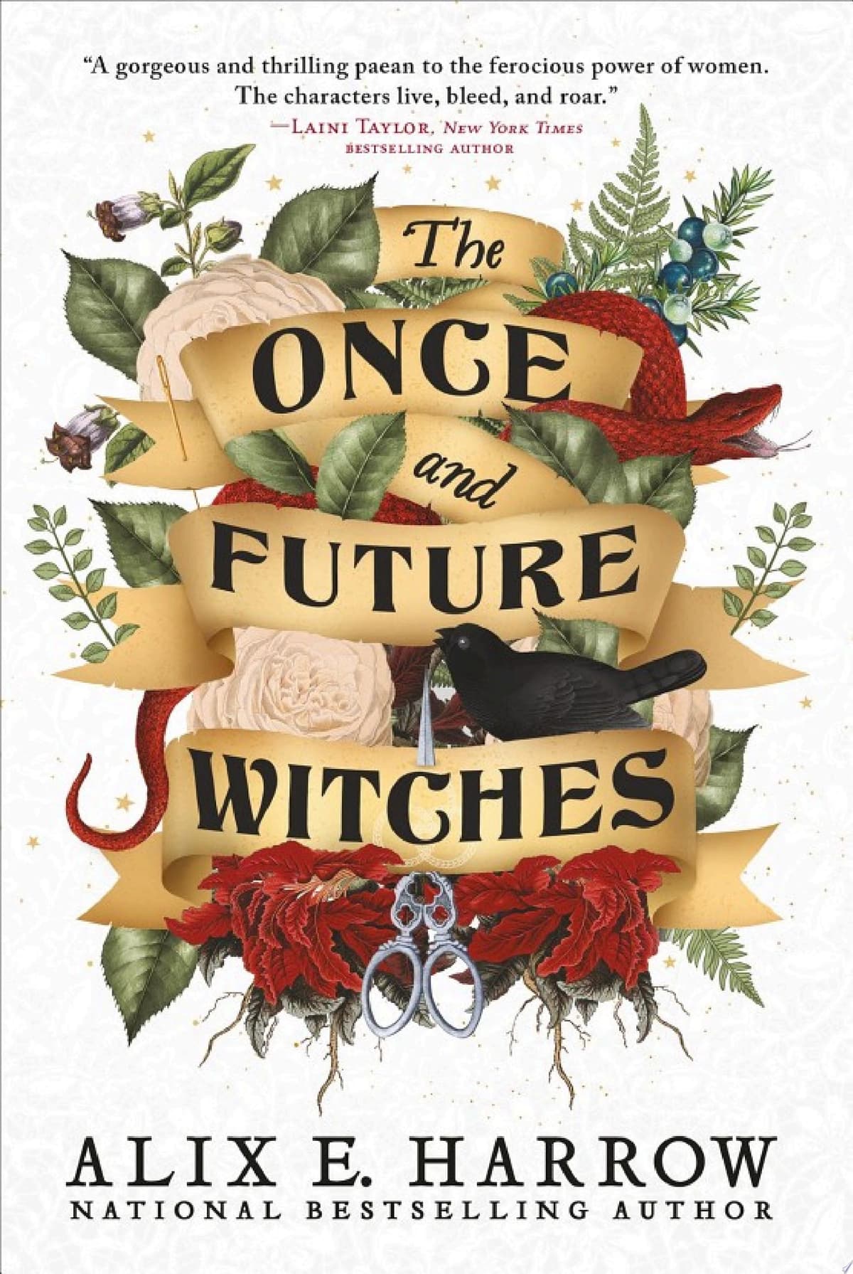 Cover of Once and Future Witches