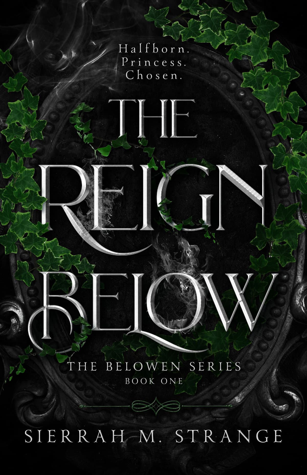 Cover of The Reign Below