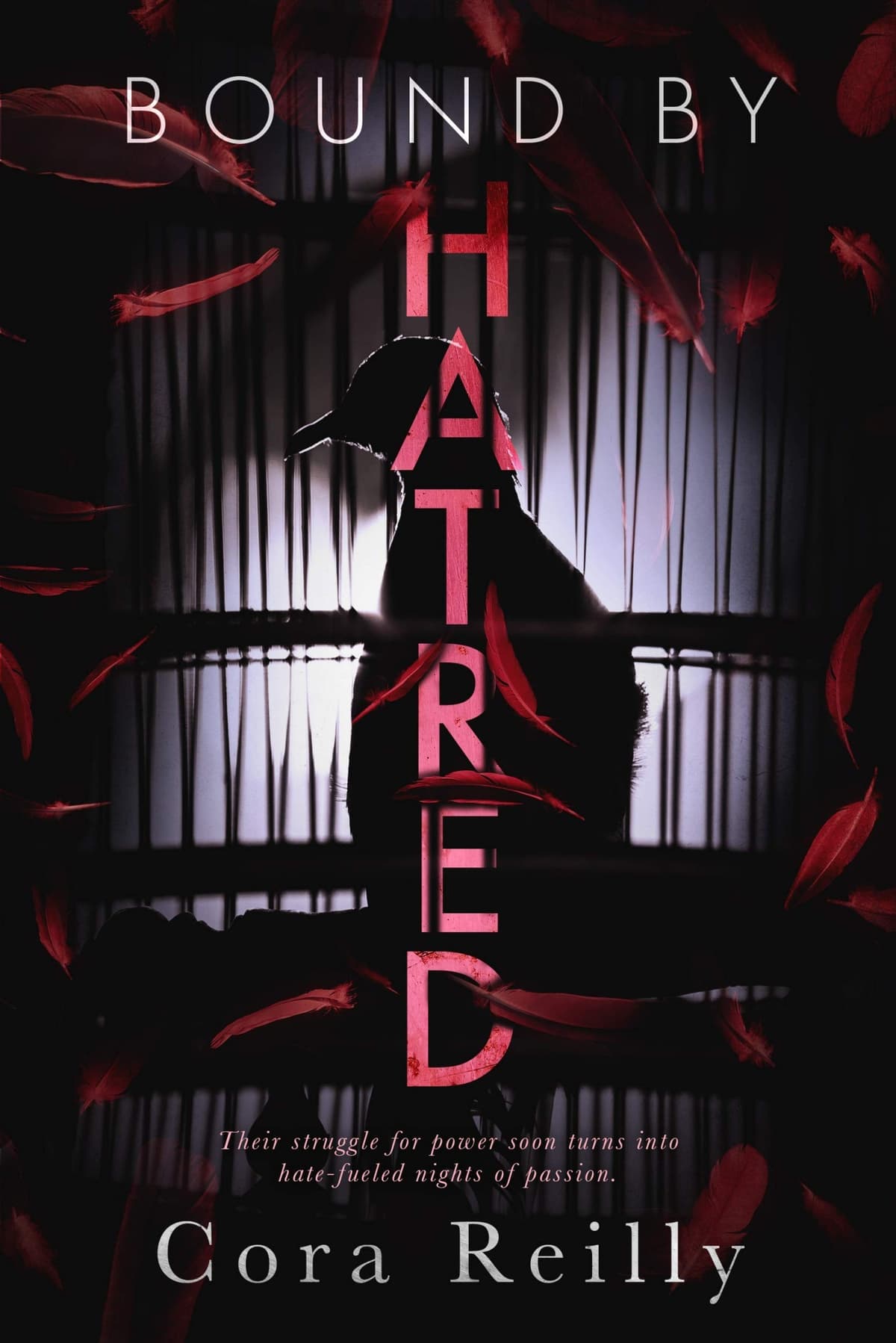 Cover of Bound by Hatred