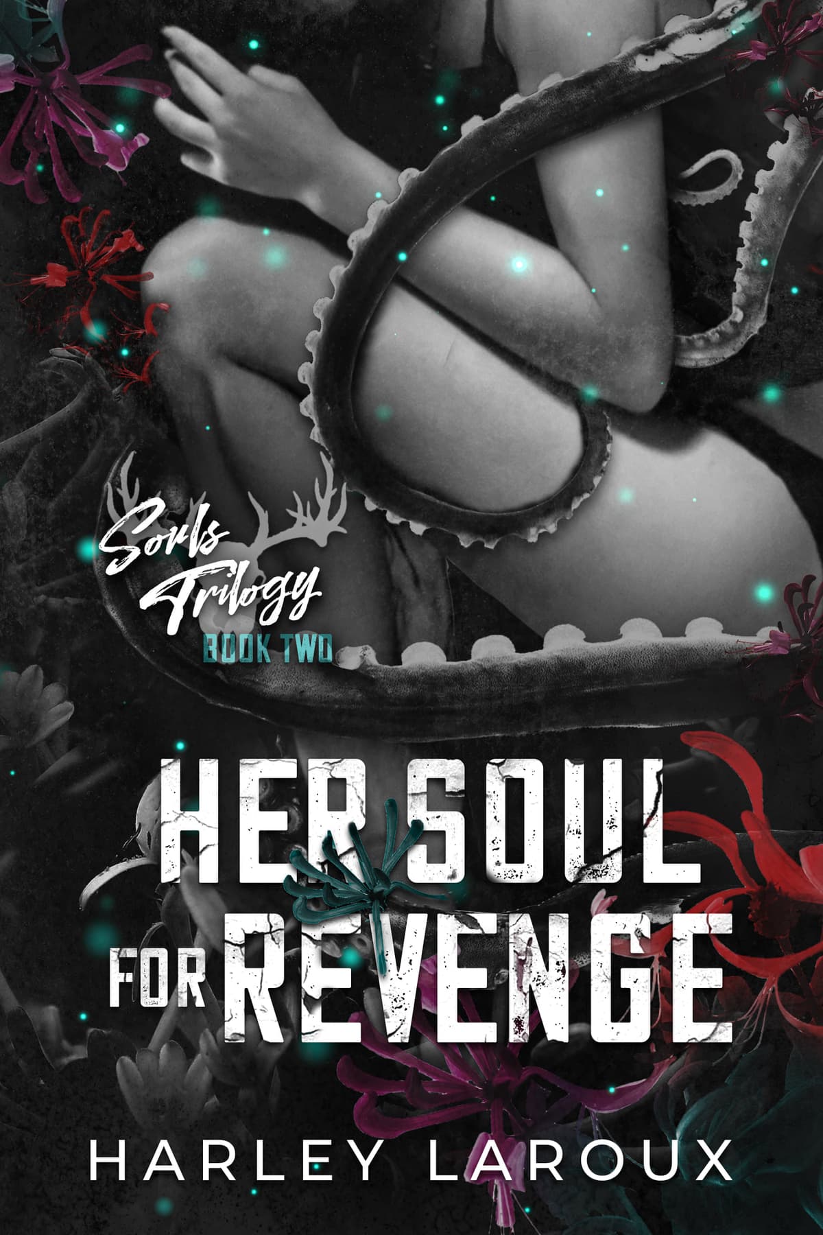 Cover of Her Soul for Revenge