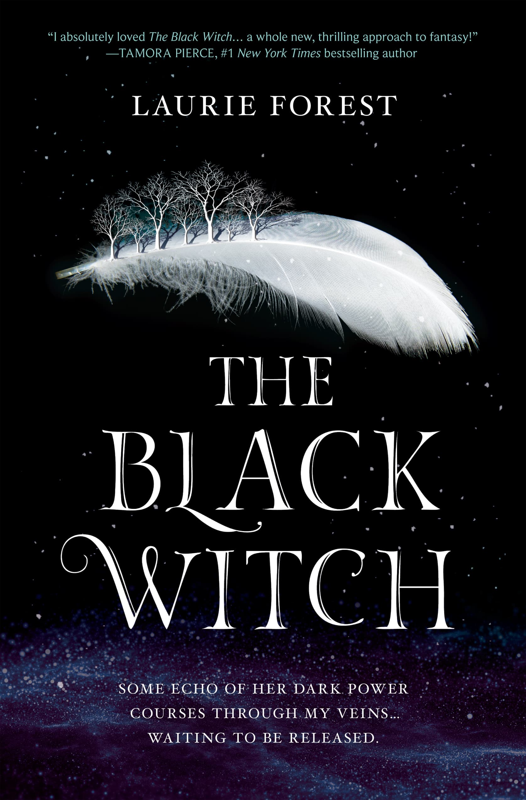 Cover of The Black Witch