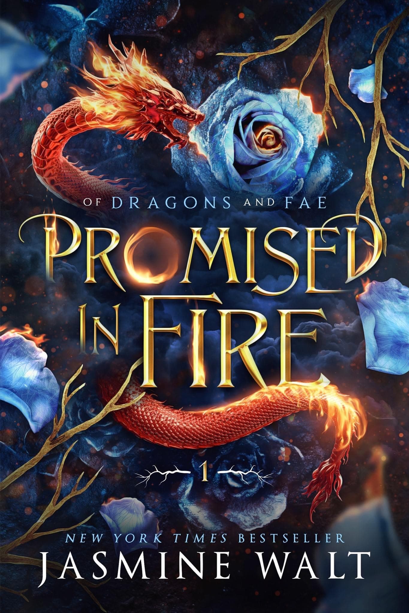 Cover of Promised in Fire
