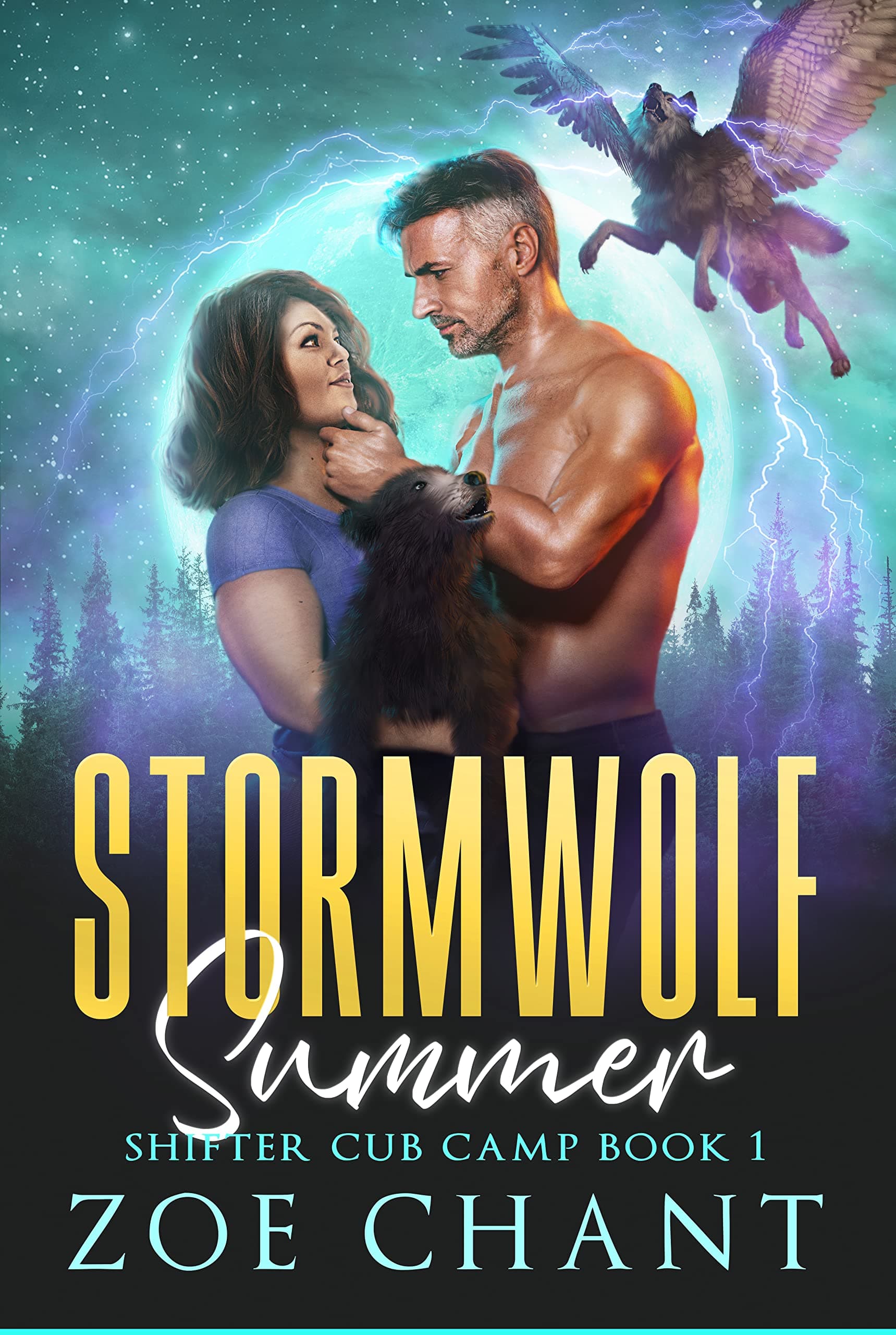 Cover of Stormwolf Summer
