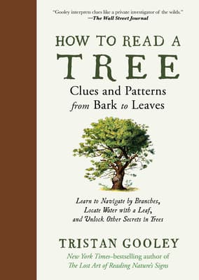 Cover of How to Read a Tree: Clues and Patterns from Bark to Leaves
