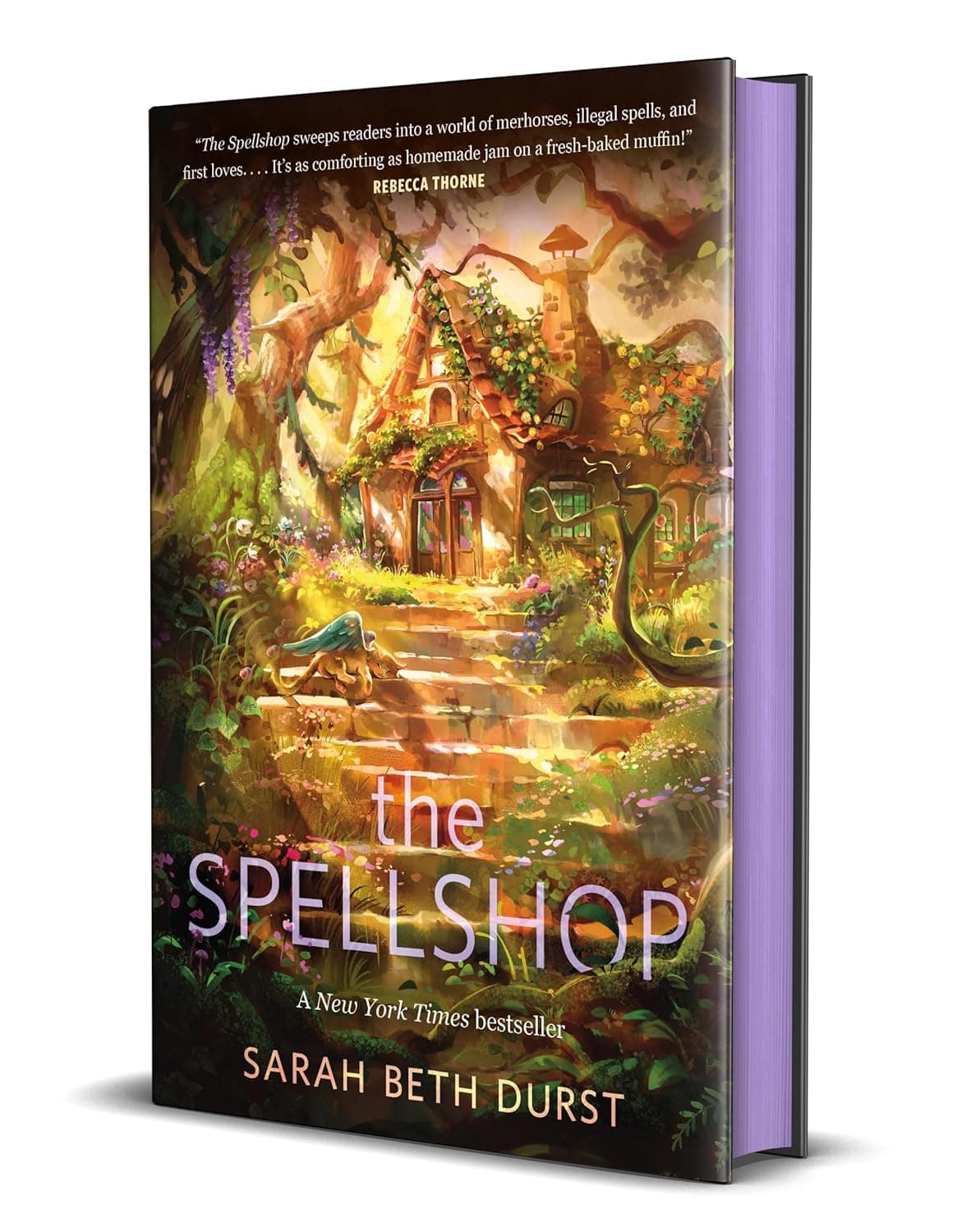 Cover of The Spellshop