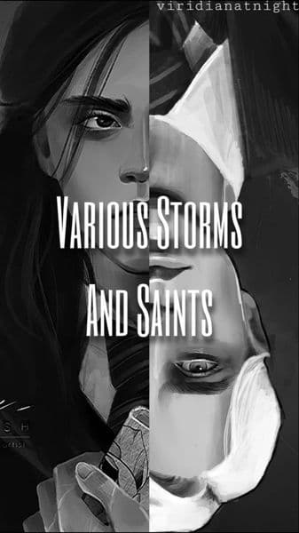 Cover of Various storms and saints