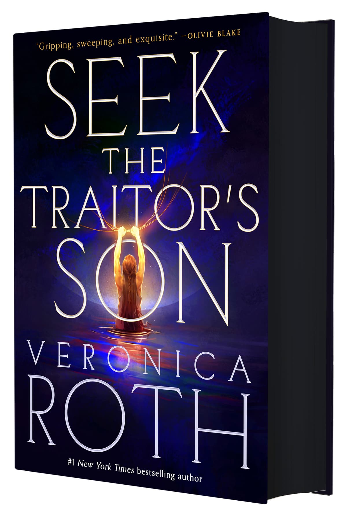 Cover of Seek the Traitor's Son