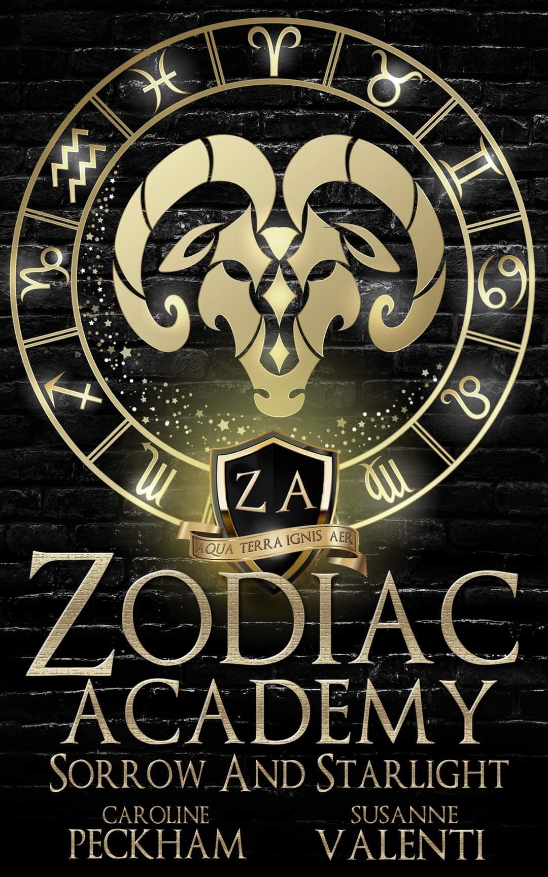 Cover of Sorrow and Starlight (Zodiac Academy, #8)