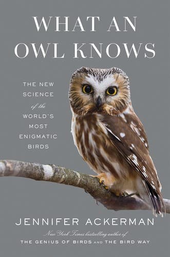Cover of What an Owl Knows: The New Science of the World's Most Enigmatic Birds