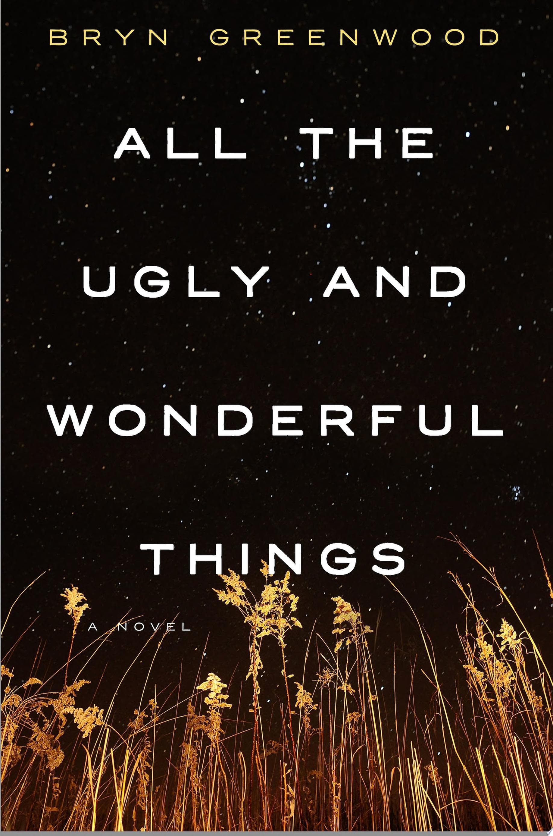 Cover of All the Ugly and Wonderful Things