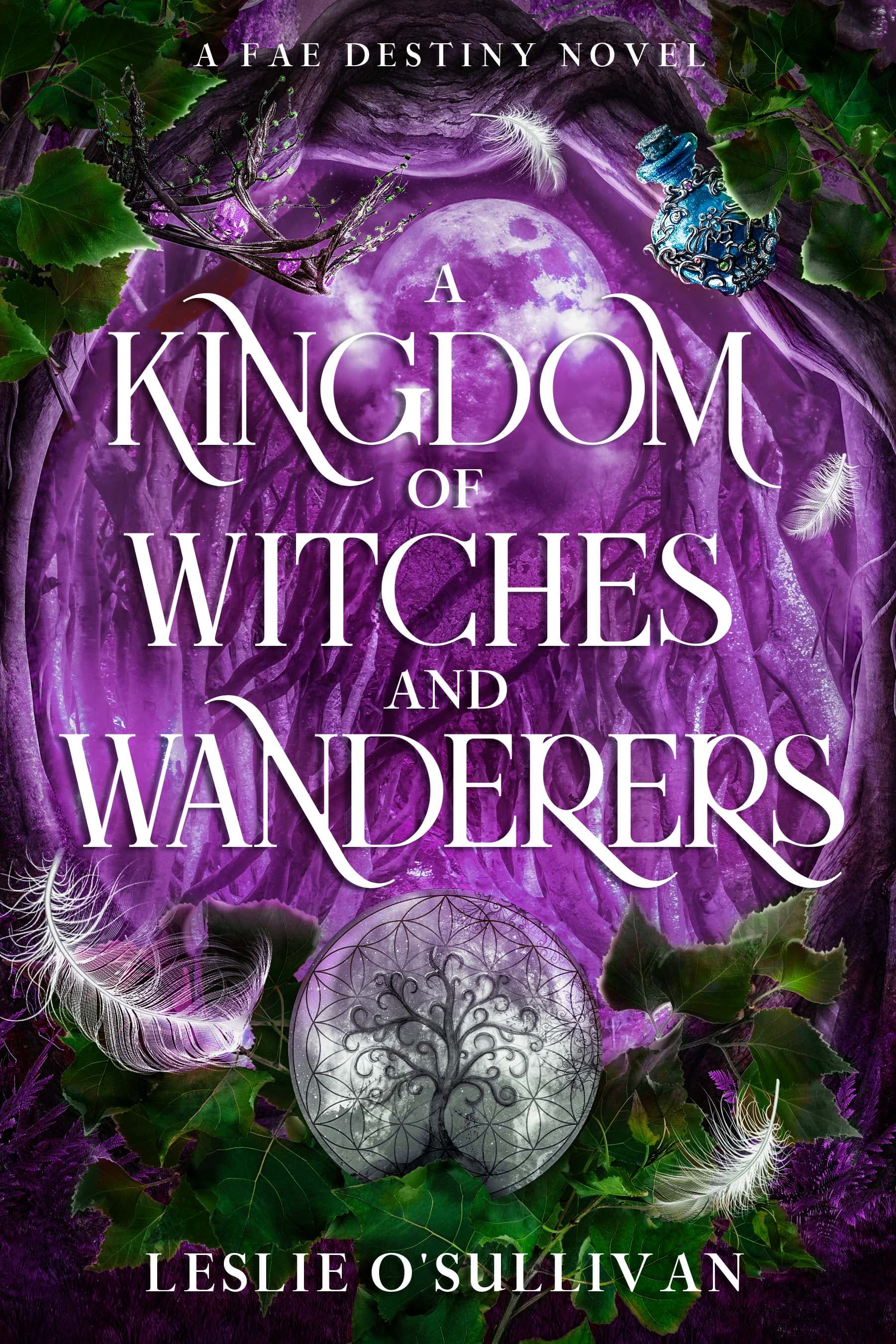 Cover of A Kingdom of Witches and Wanderers