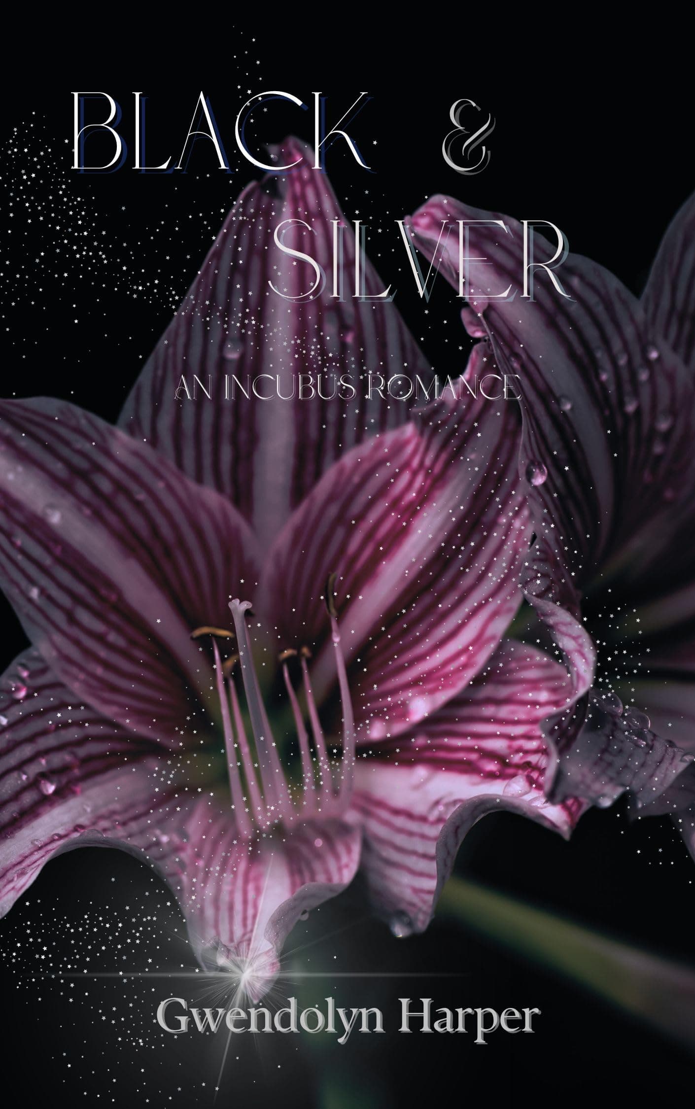 Cover of Black and Silver