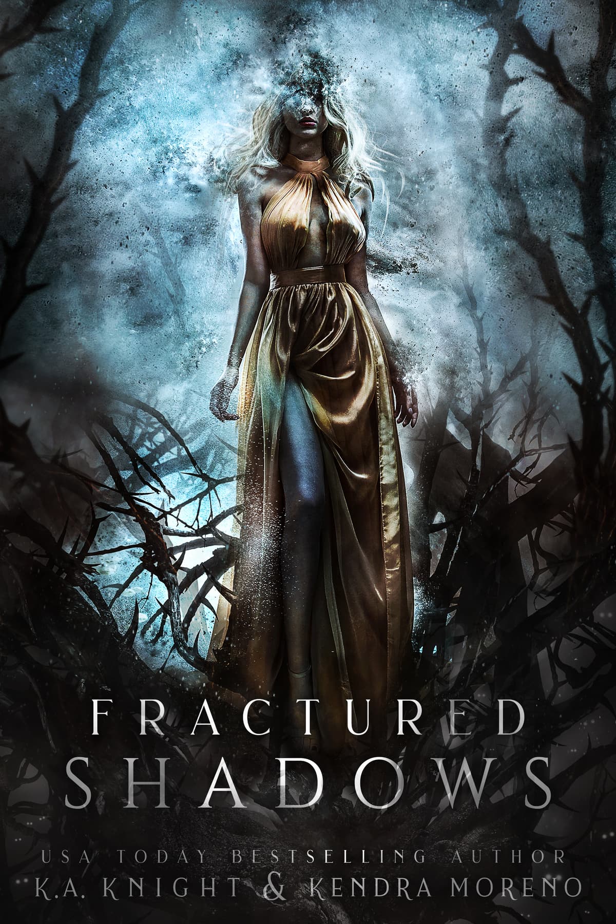 Cover of Fractured Shadows