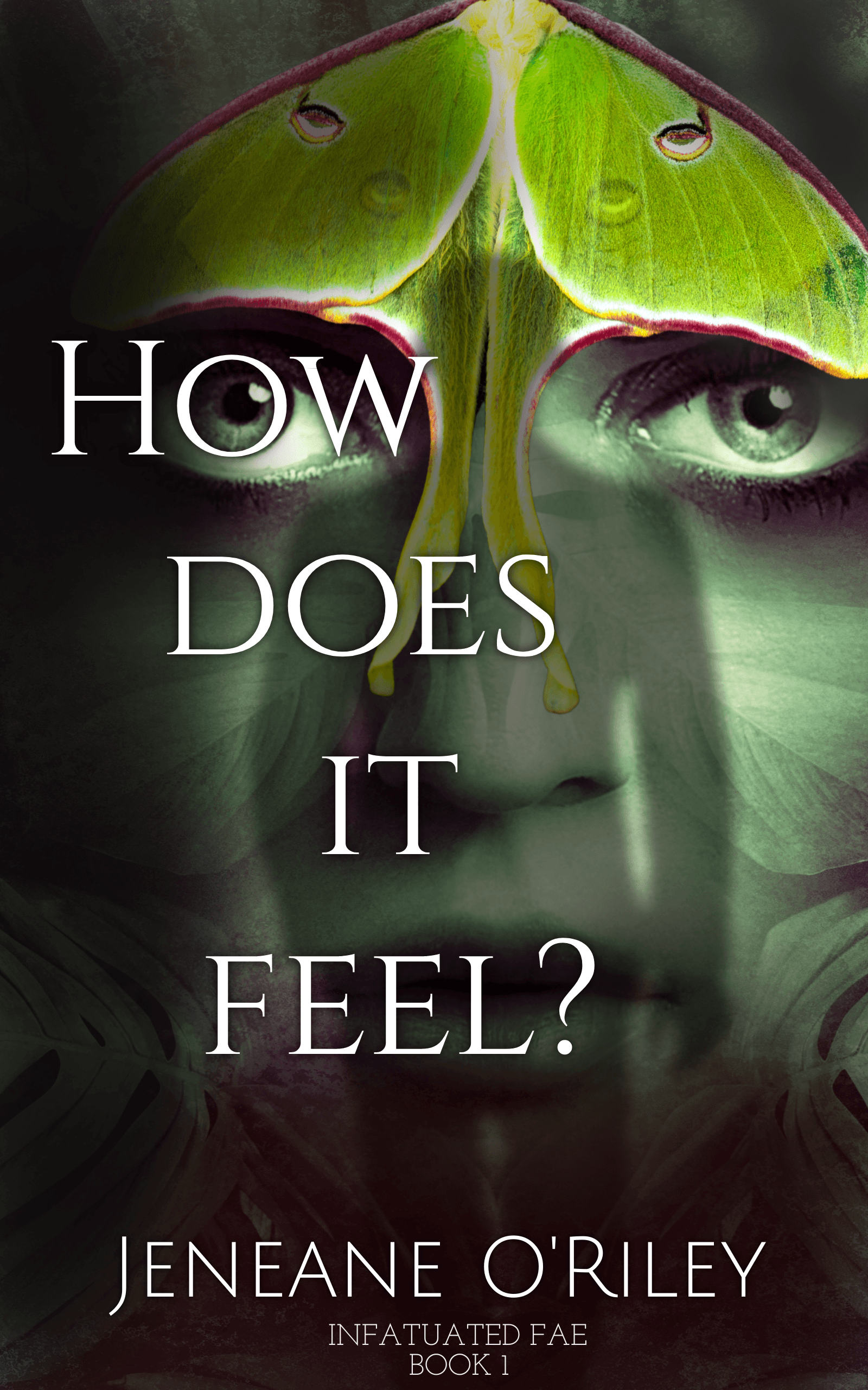 Cover of How Does It Feel? (Infatuated Fae, #1)
