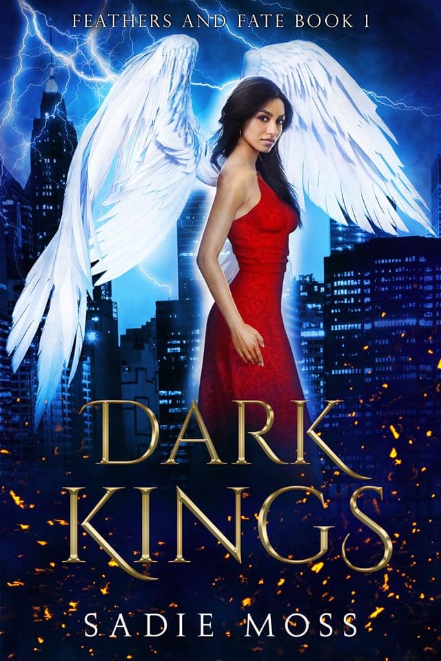Cover of Dark Kings (Feathers and Fate, #1)
