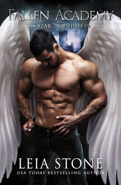 Cover of Fallen Academy: Year Three and a Half