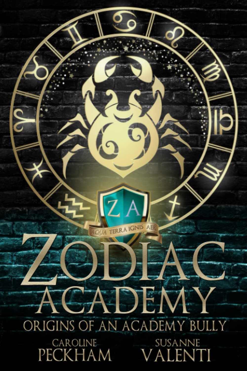 Cover of Origins of an Academy Bully (Zodiac Academy, #0.5)